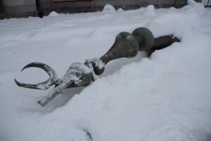 KAYSERİ (AA) – Kahramanmaraş Elbistan merkezli 7,6 büyüklüğündeki depremden etkilenen