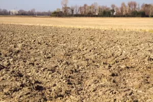 ROMA (AA) – BARIŞ SEÇKİN – İtalya'da 2022 yazının ardından