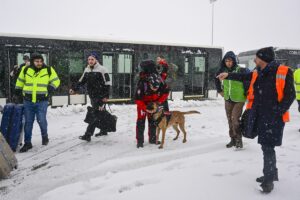 - Sevk edilen askerlerin Adıyaman, Kahramanmaraş ve Adana'da arama kurtarma