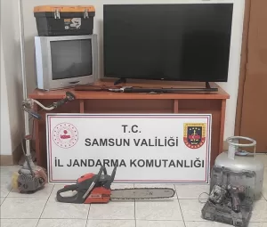 SAMSUN (AA) – Samsun'un Terme ilçesinde evlerden hırsızlık yaptıkları iddiasıyla