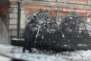 SARAYBOSNA (AA) – Batı Balkan ülkeleri Bosna Hersek, Hırvatistan ve