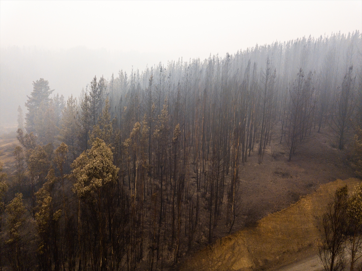 GÜNCELLEME 2 – Şili'de orman yangınlarında ölenlerin sayısı 22'ye yükseldi