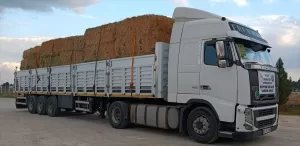 ANKARA (AA) – Tarım ve Orman Bakanlığı, Kahramanmaraş merkezli depremlerden