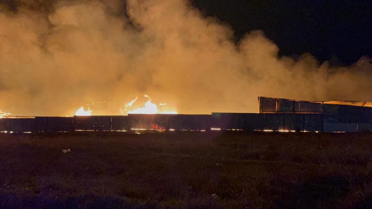 Tekirdağ’da tahta palet fabrikasında yangın çıktı