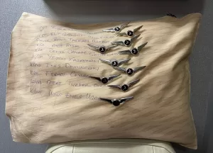 İSTANBUL (AA) – Türk Hava Yolları (THY) kabin ekibi, Kahramanmaraş