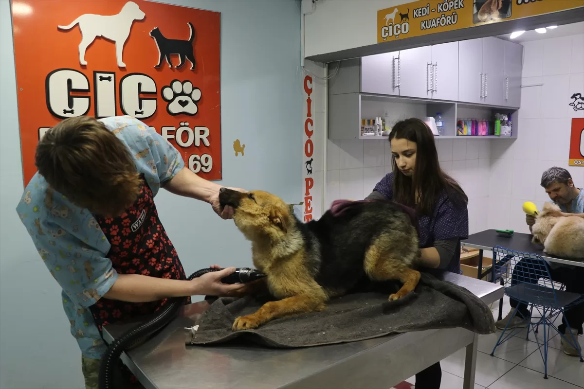 Yardım için deprem bölgesine giden hemşire enkazdan çıkarılan köpeği sahiplendi