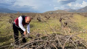 HATAY (AA) – Tarım ve Orman Bakanı Vahit Kirişci, "Hızla