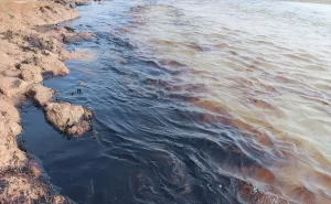 BATMAN (AA) – Batman'da petrol boru hattında sızıntı meydana geldiği