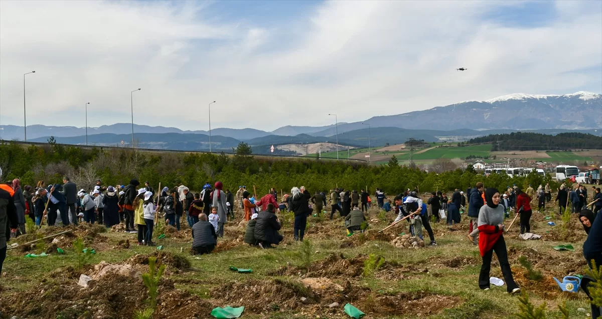 Bolu'da yaşayan depremzedeler, enkazda yitirdiklerinin anısına fidan dikti