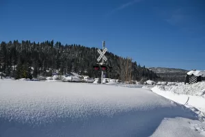 NEW YORK (AA) – ABD'nin California eyaletinde, bir süredir devam