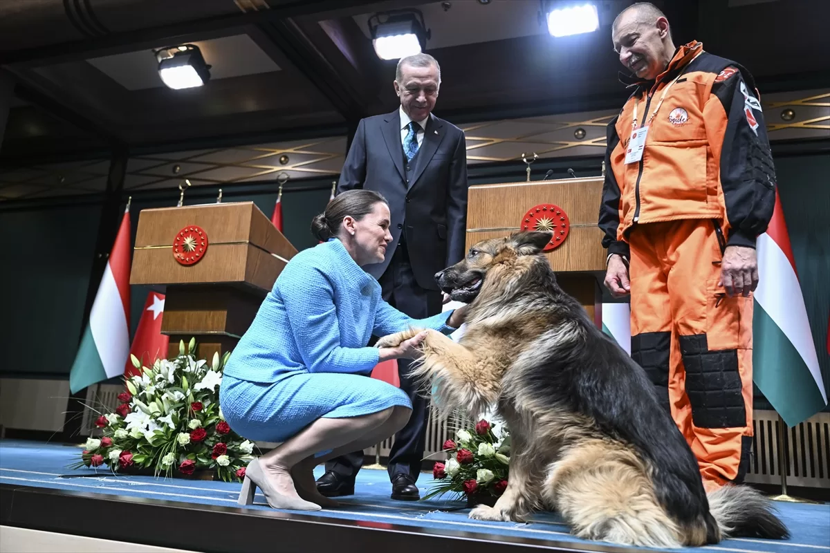 Macaristan Cumhurbaşkanı Novak, Cumhurbaşkanı Erdoğan ile ortak basın toplantısında konuştu: (2)