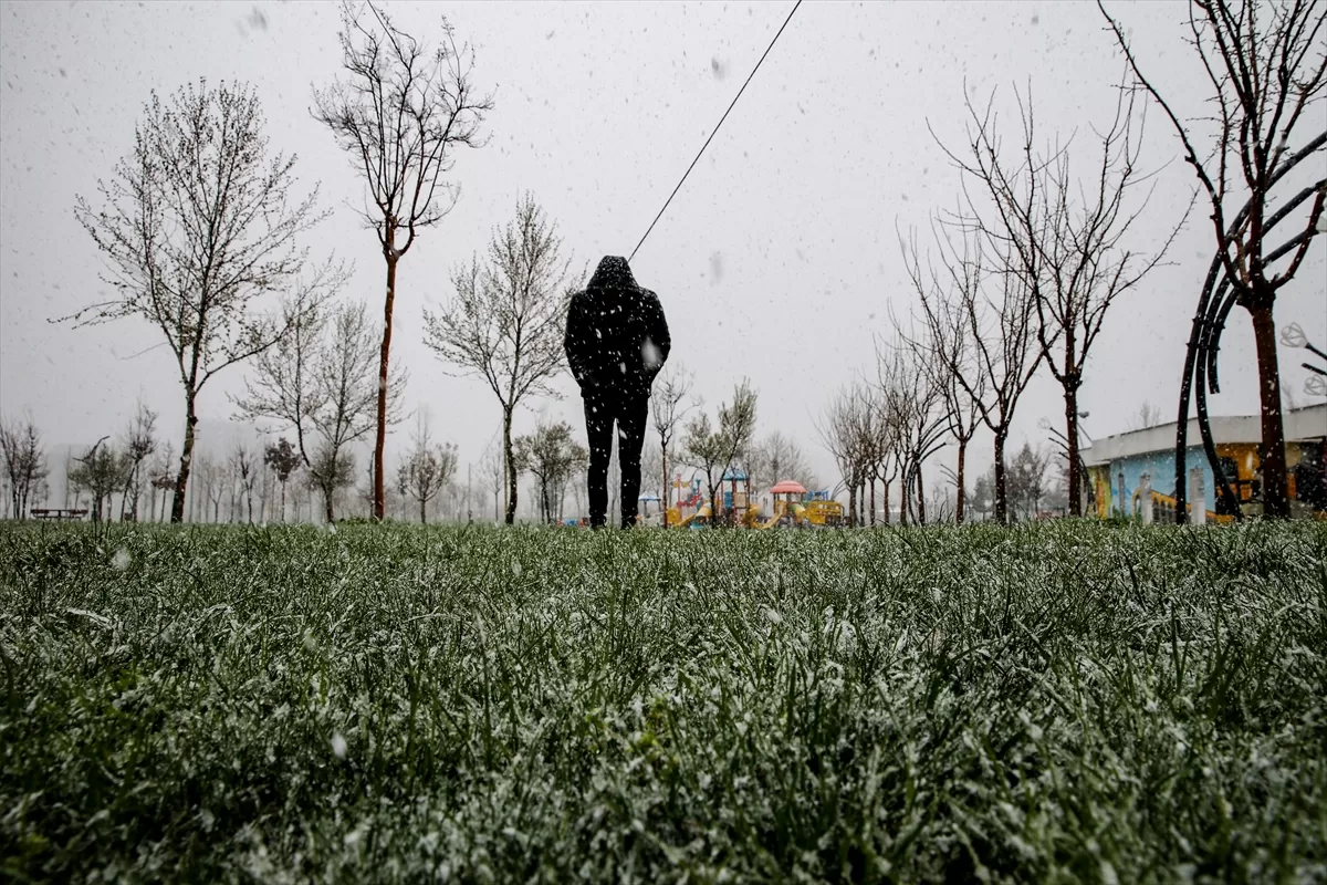 Diyarbakır, Şırnak ve Siirt'te kar etkili oldu