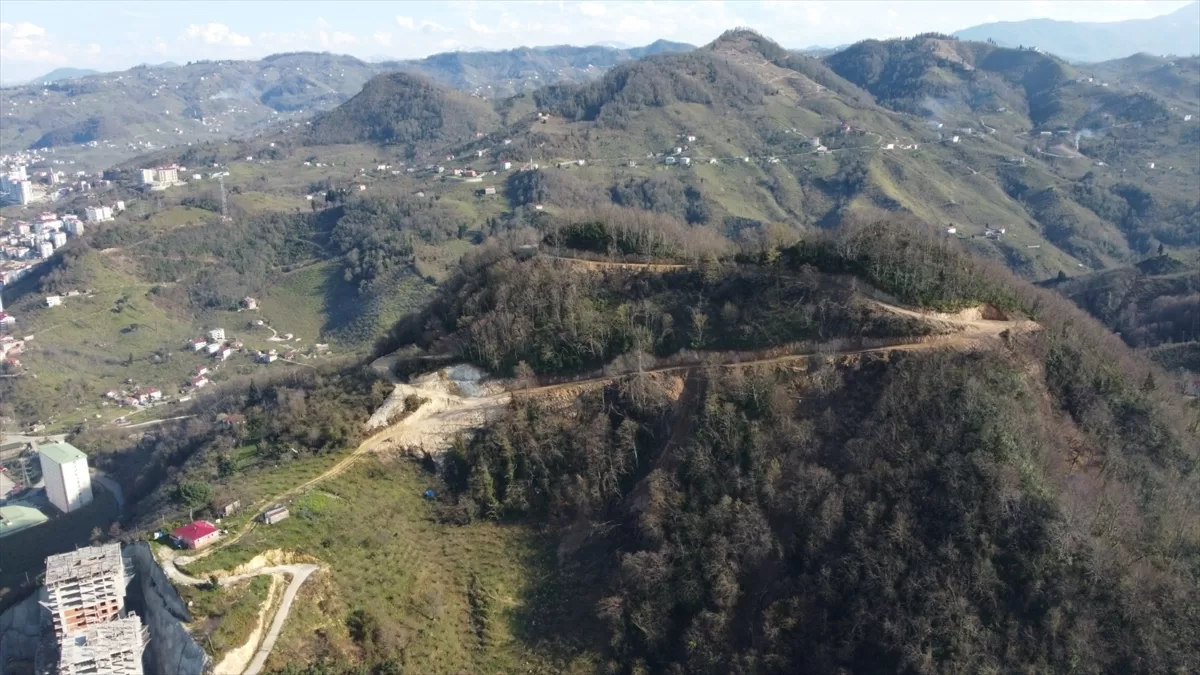 Giresun'da 50 bin metrekarelik “Millet Ormanı” kurulacak