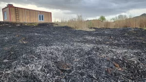 IĞDIR (AA) – Türkiye'nin önemli kuş araştırma merkezlerinden Iğdır'daki Aras