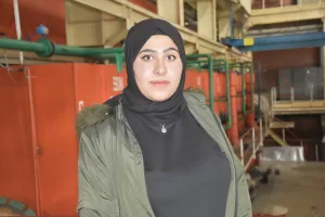 KARS (AA) – Kars'ta ailelerine destek olmak için pancarın şekere