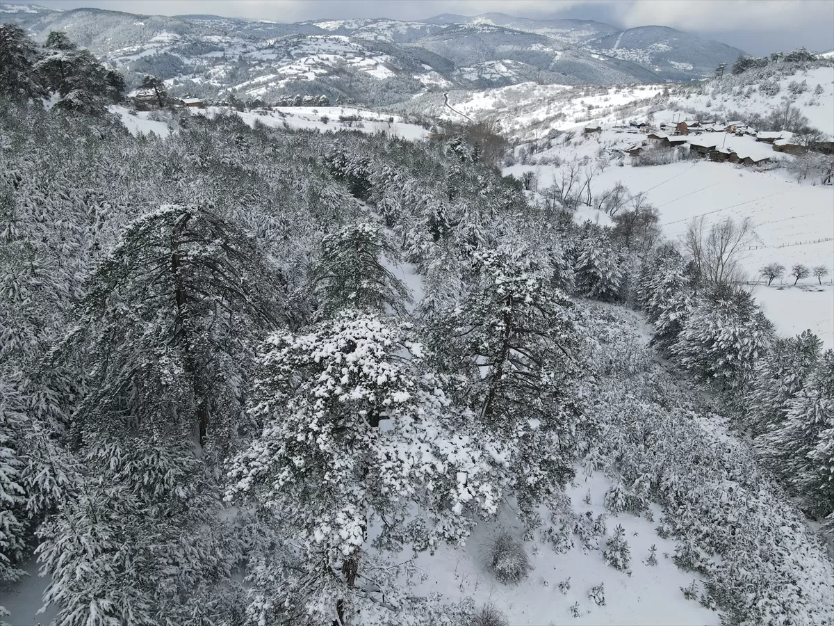 Kastamonu'da karla kaplanan ormanlar havadan görüntülendi