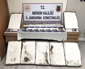 MERSİN (AA) – Mersin İl Jandarma Komutanlığı ekiplerince yapılan operasyonda