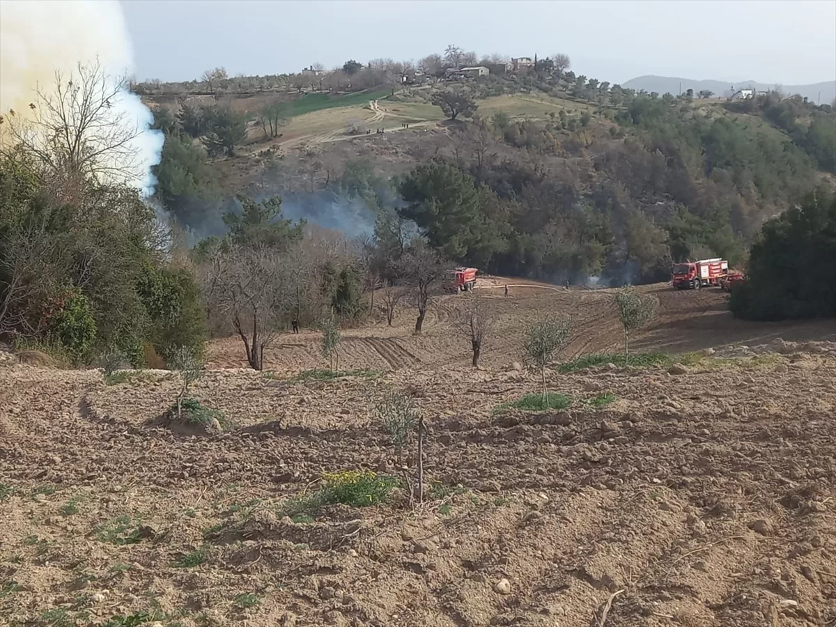 Osmaniye'de ormanlık alanda çıkan yangın kontrol altına alındı