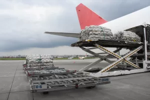 ADANA (AA) – Kahramanmaraş merkezli 6 Şubat'taki depremlerin ardından yürütülen