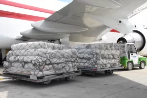 ADANA (AA) – Kahramanmaraş merkezli 6 Şubat'taki depremlerin ardından yürütülen