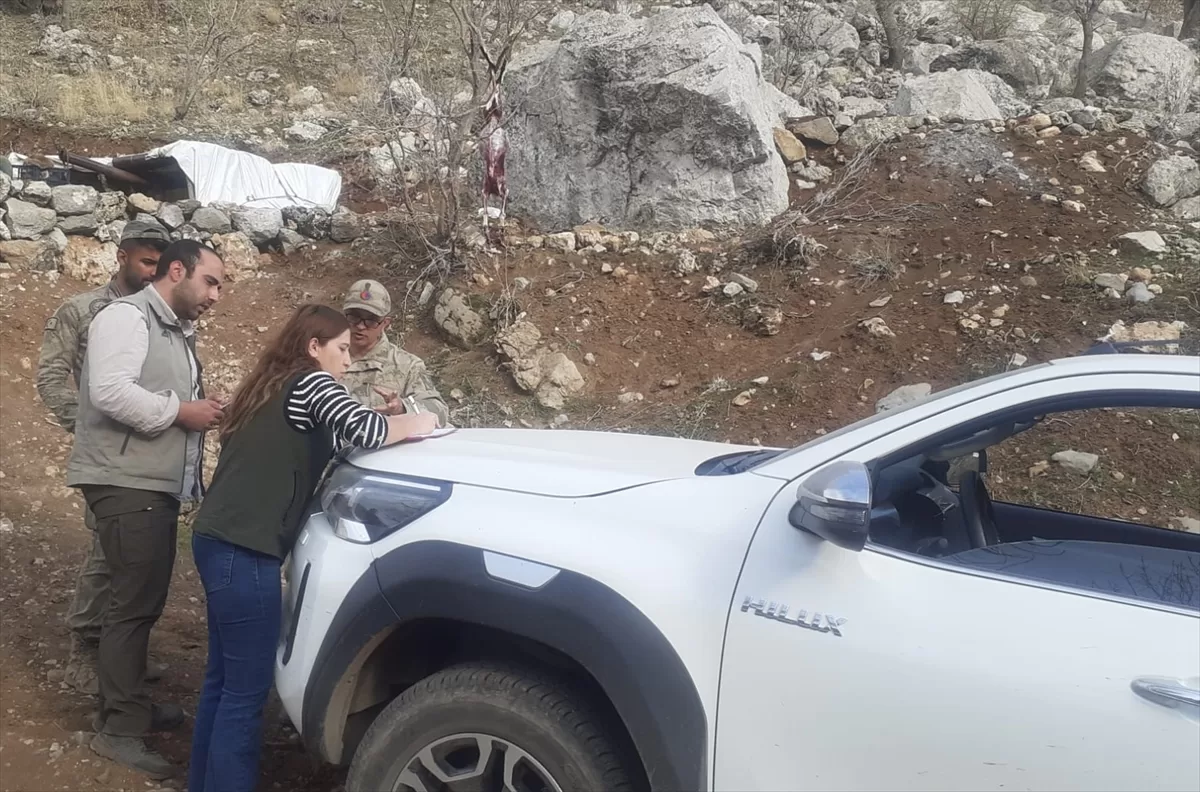 Şırnak'ta yaban keçisi avlayan kişiye 261 bin lira ceza