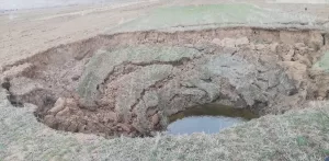 SİVAS (AA) – Sivas'ın Zara ilçesi kırsalında bir tarlada yaklaşık