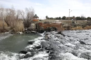 VAN (AA) – NECMETTİN KARACA – Yağışların azalması ve aşırı