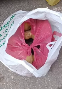 - Gözaltına alınan şüpheli tutuklandı