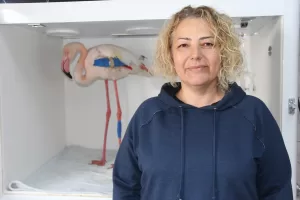 AFYONKARAHİSAR (AA) – Afyonkarahisar'daki Eber Gölü'nde yapılan kuş sayımı çalışmasında