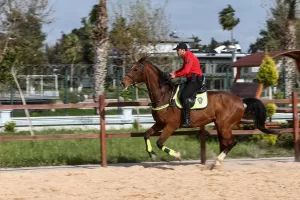 ADANA (AA) – YUSUF KOYUN/OZAN EFEOĞLU – Adana'da toplumsal olaylara