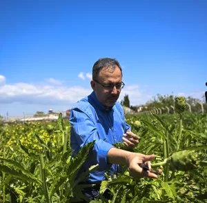 ANKARA (AA) – Gençlik ve Spor Bakanı Mehmet Muharrem Kasapoğlu,