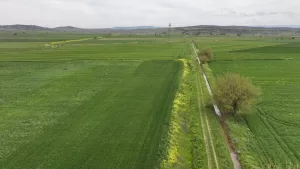 KAHRAMANMARAŞ (AA) – ÖZGÜR ALANTOR – Kahramanmaraş'ta depremden sonra tarım