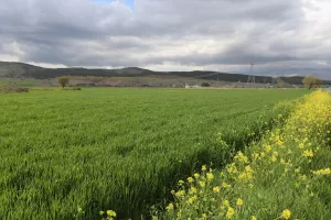 KAHRAMANMARAŞ (AA) – GÖKHAN ZOBAR – HAKAN ŞAHİN – Kahramanmaraş