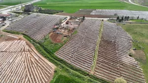 KAHRAMANMARAŞ (AA) – Kahramanmaraş merkezli 6 Şubat'taki depremlerden etkilenen tarım