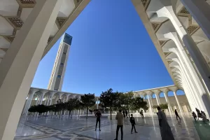 CEZAYİR (AA) – ESAT FIRAT – Yaklaşık üç yıl önce