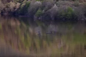 DÜZCE (AA) – ÖMER ÜRER – Düzce'de tarım arazilerindeki sulama