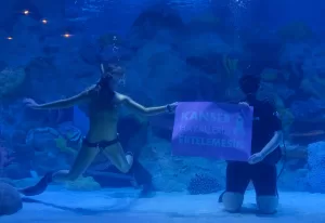 - İki hastanın, doktorları ve milli sporcu Şahika Ercümen eşliğinde