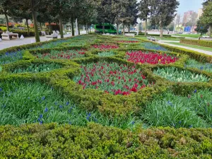 İSTANBUL (AA) – Emirgan Korusu, Gülhane Parkı, Sultanahmet Meydanı, Göztepe