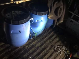 İZMİR (AA) – İzmir’in Dikili ilçesinde kaçak şekilde avlandığı belirlenerek