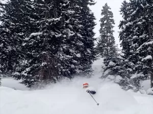 RİZE (AA) – MUHİTTİN SANDIKÇI – Avrupa'ya yakınlığı ve kar
