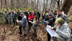 KASTAMONU (AA) – Kastamonu Orman Bölge Müdürü Fahri Sönmezoğlu, "Yöremizde