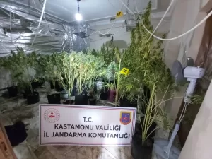 KASTAMONU (AA) – Kastamonu'da kiraladıkları 3 katlı villayı uyuşturucu yetiştirmek