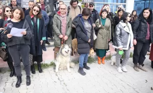 KIRKLARELİ (AA) – Kırklareli'nde sivil toplum kuruluşları temsilcileri köpek yavrusunu