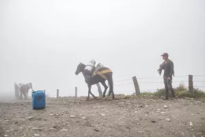 BOGOTA (AA) – Kolombiya'daki Nevado del Ruiz Yanardağı'nda yaşanılan volkanik