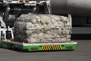 ADANA (AA) – BETÜL AKLAN – Kahramanmaraş merkezli depremlerin ardından