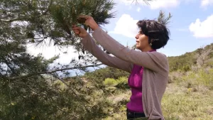 BEYRUT (AA) – VESİM SEYFETTİN / NAİM BERCAVİ – Lübnan'da