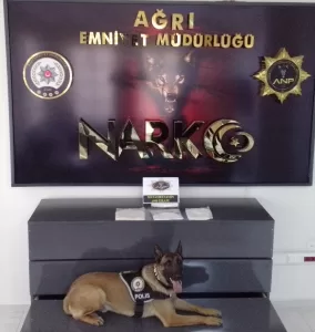 AĞRI (AA) – Ağrı'da, ticari takside narkotik dedektör köpeği "Alfa"