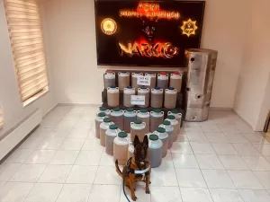 - Gözaltına alınan İran uyruklu sürücü tutuklandı  