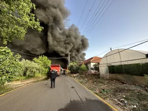 ANTALYA (AA) – Antalya'nın Kepez ilçesinde çıkan yangında geri dönüşüm