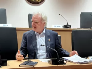 ABUJA (AA) – Birleşmiş Milletler (BM), Nijerya'nın kuzeydoğusundaki Boko Haram